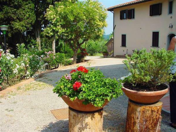 Fattoria Casanova Villa Palaia Exteriör bild