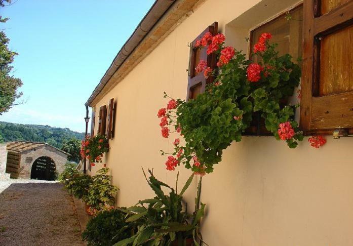 Fattoria Casanova Villa Palaia Exteriör bild