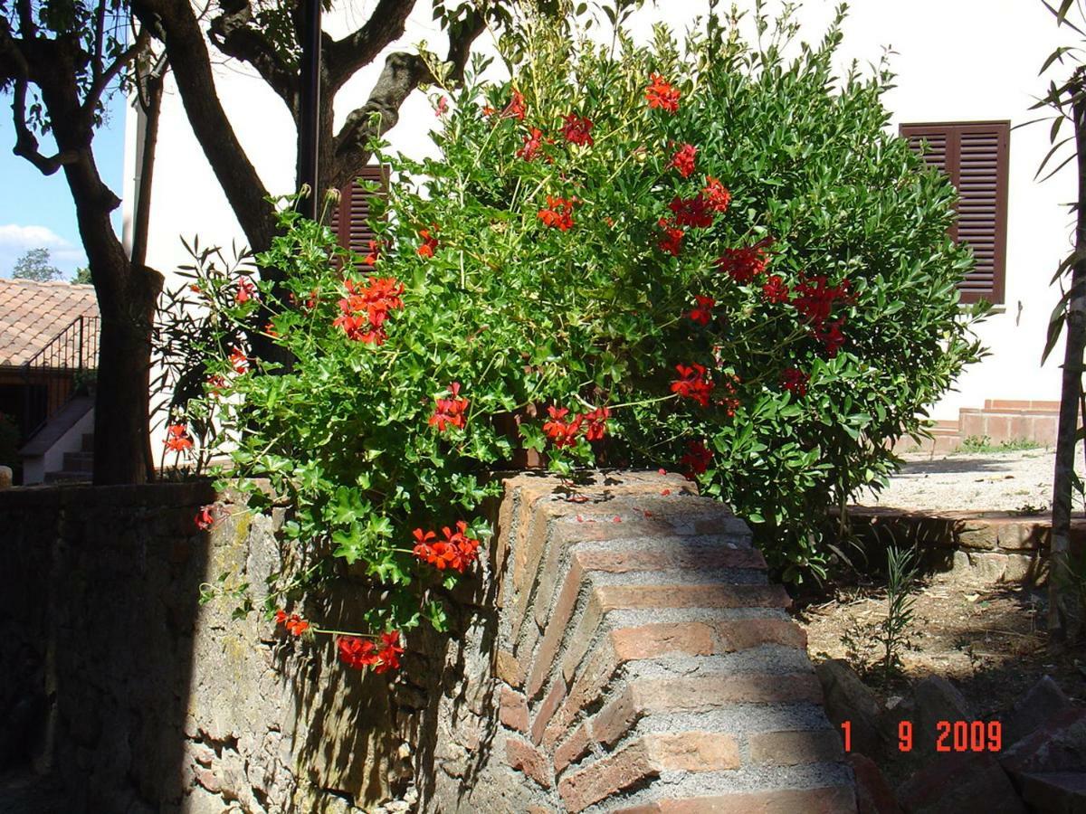 Fattoria Casanova Villa Palaia Exteriör bild