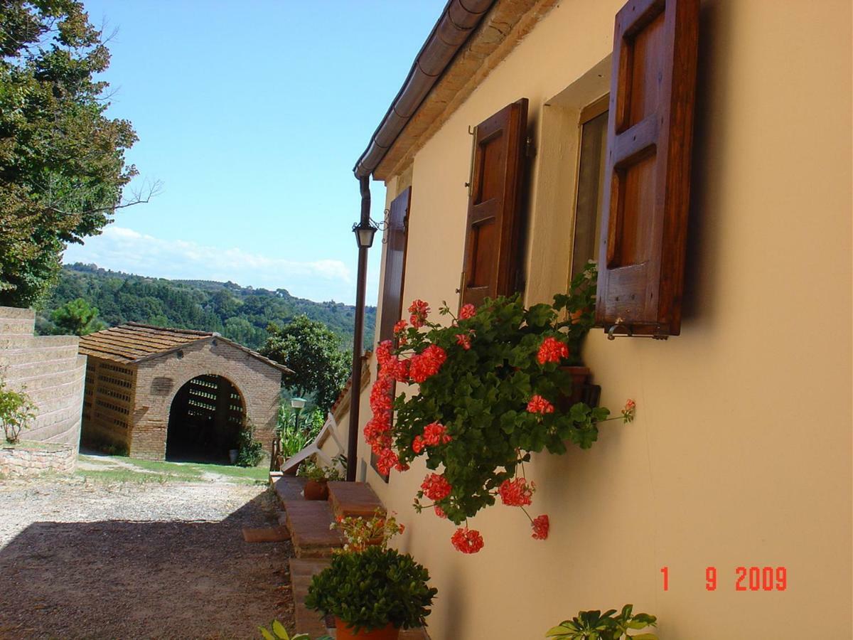 Fattoria Casanova Villa Palaia Exteriör bild